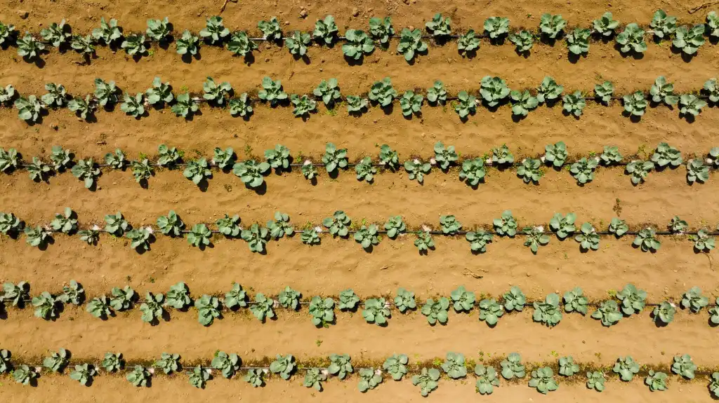 碧能智能照明系统远程控制技术在家居场景的应用解析