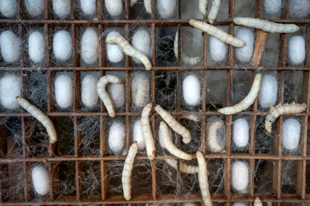 智能照明系统远程控制方案对比：蓝牙Mesh与Zigbee技术选型指南
