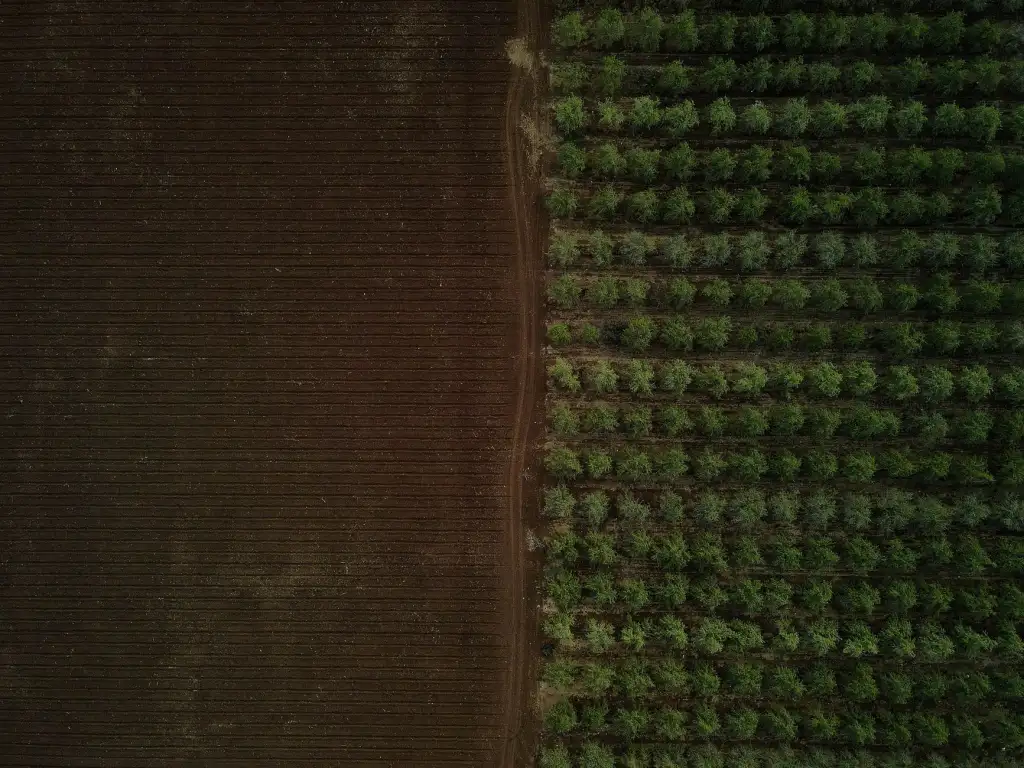 智能照明控制系统在办公场景中的节能效果实测分析