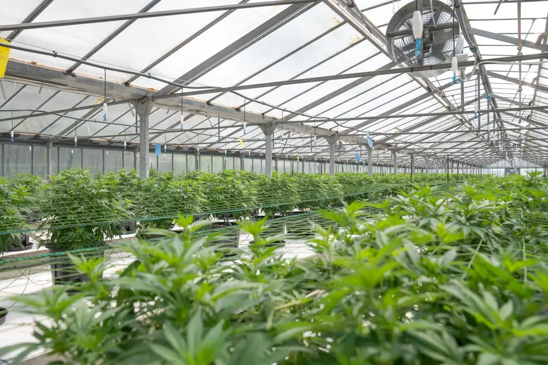 智能照明系统在办公空间中的远程控制与节能方案解析