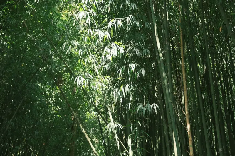 智能照明系统在商业办公区的节能改造方案与效益分析