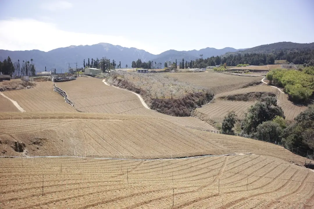 家庭与办公空间智能照明方案设计:节能LED灯具选型要点