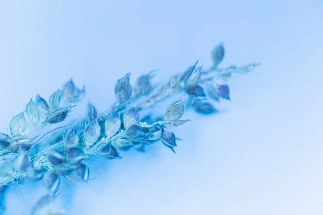 智能照明系统在家庭与办公场景中的节能方案设计要点