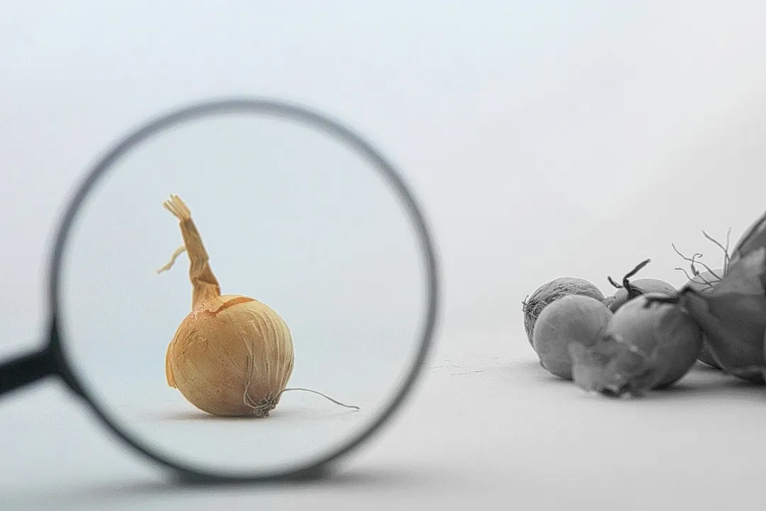 智能照明系统技术解析：人体感应与远程控制在办公空间中的集成方案